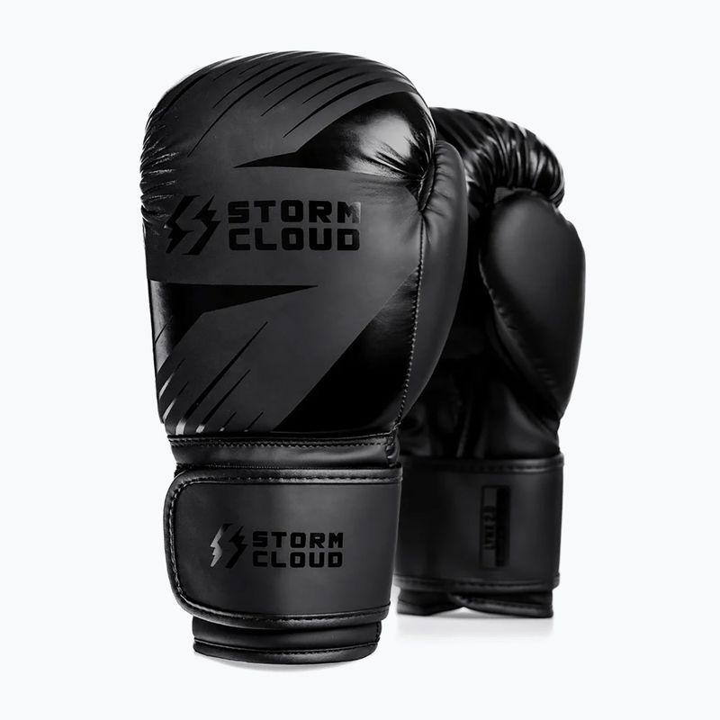 Рукавиці боксерські StormCloud Lynx 2.0 black/black 2