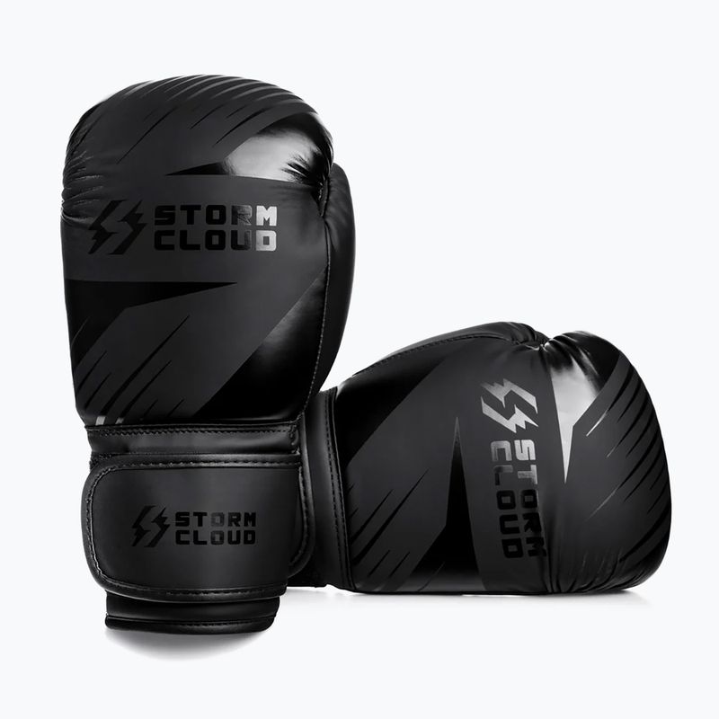 Рукавиці боксерські StormCloud Lynx 2.0 black/black 3