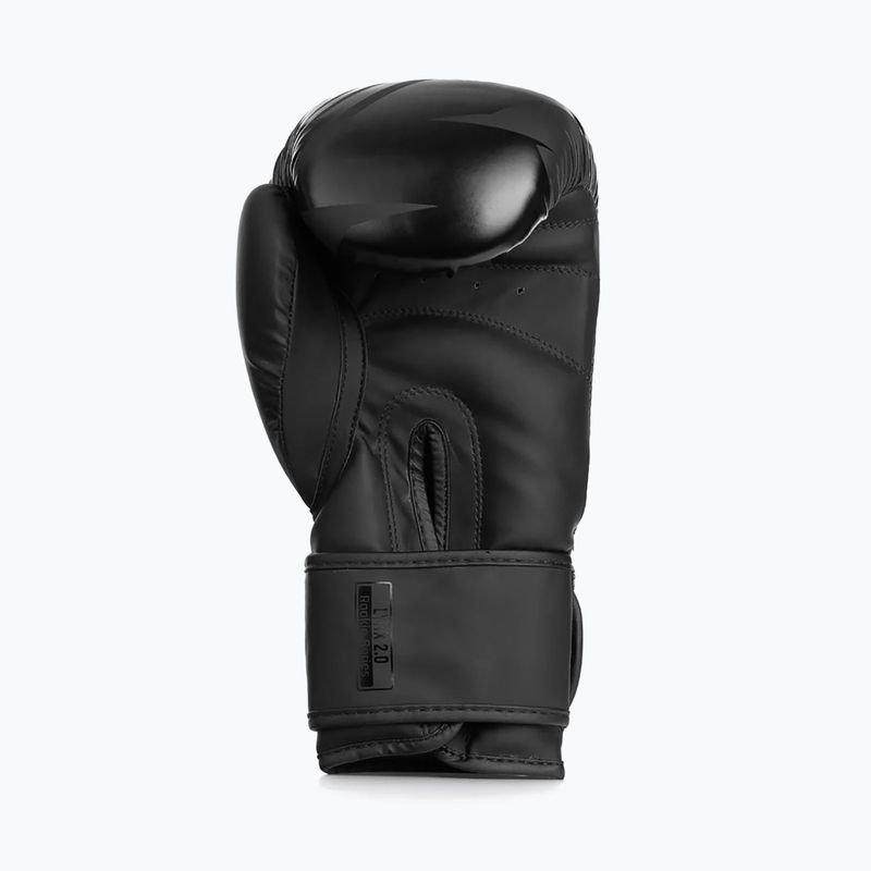Рукавиці боксерські StormCloud Lynx 2.0 black/black 5