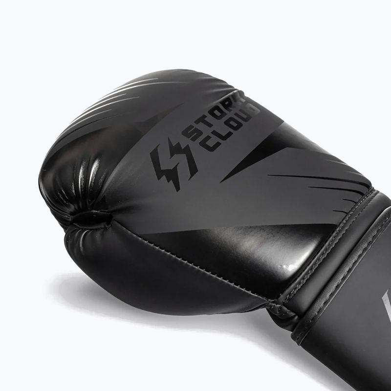 Рукавиці боксерські StormCloud Lynx 2.0 black/black 6