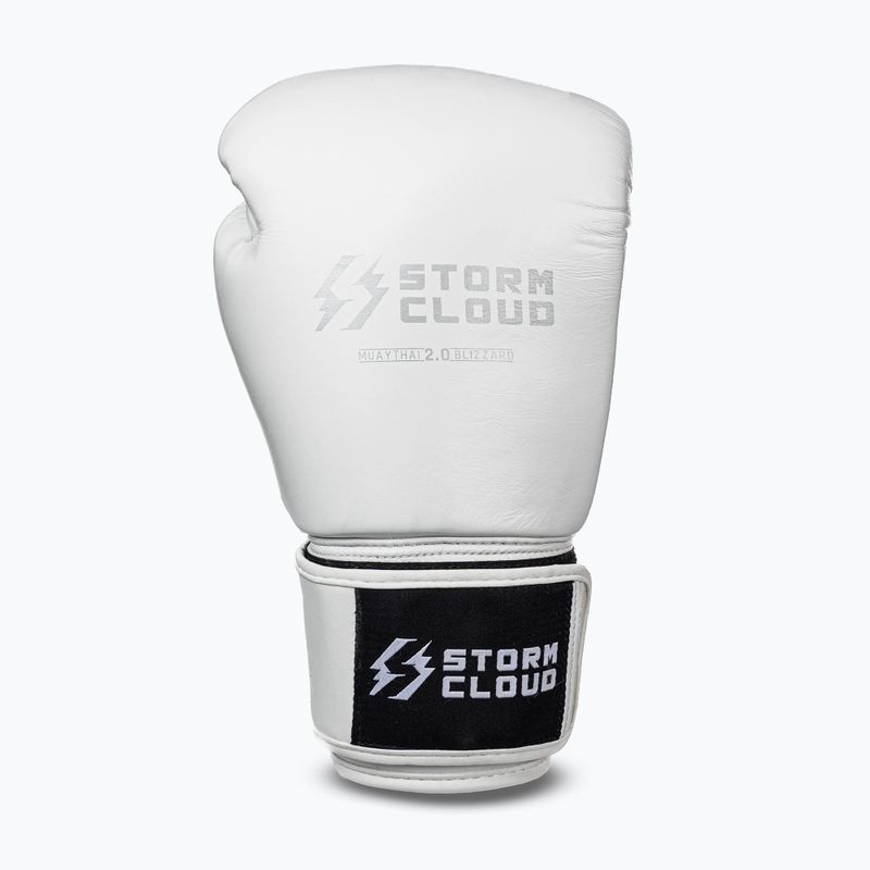 Рукавиці боксерські StormCloud Muay Thai Blizzard 2.0 white/silver 2