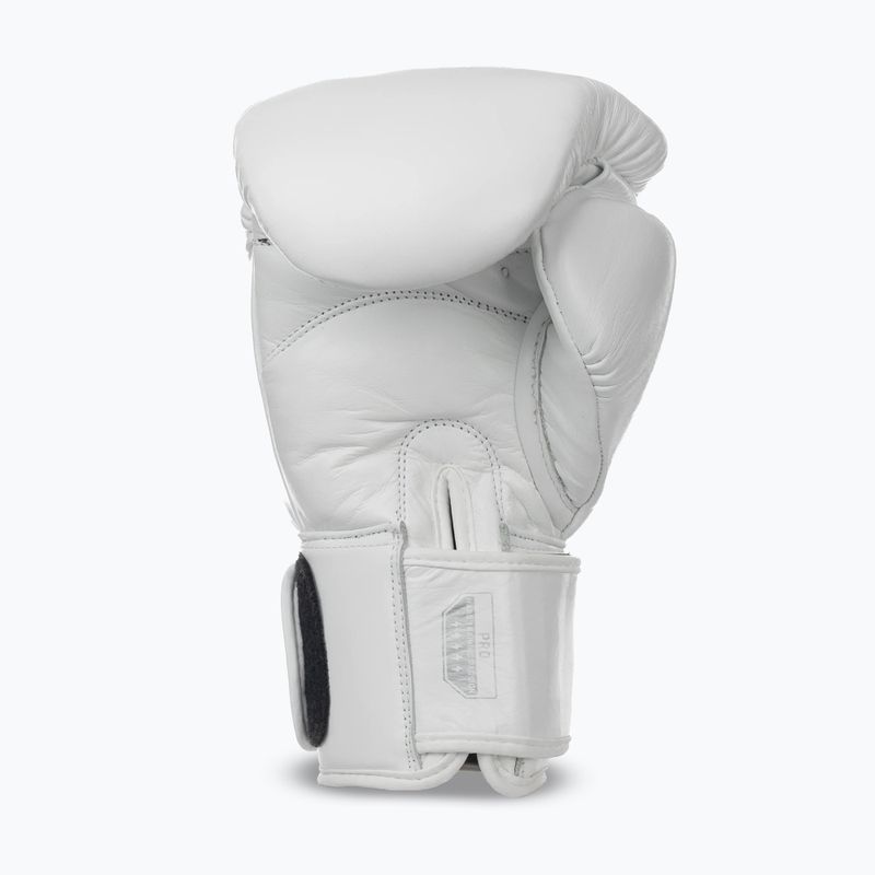 Рукавиці боксерські StormCloud Muay Thai Blizzard 2.0 white/silver 3