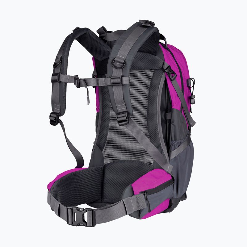 Рюкзак туристичний Alpinus Tarfala 35 l fuchsia 2