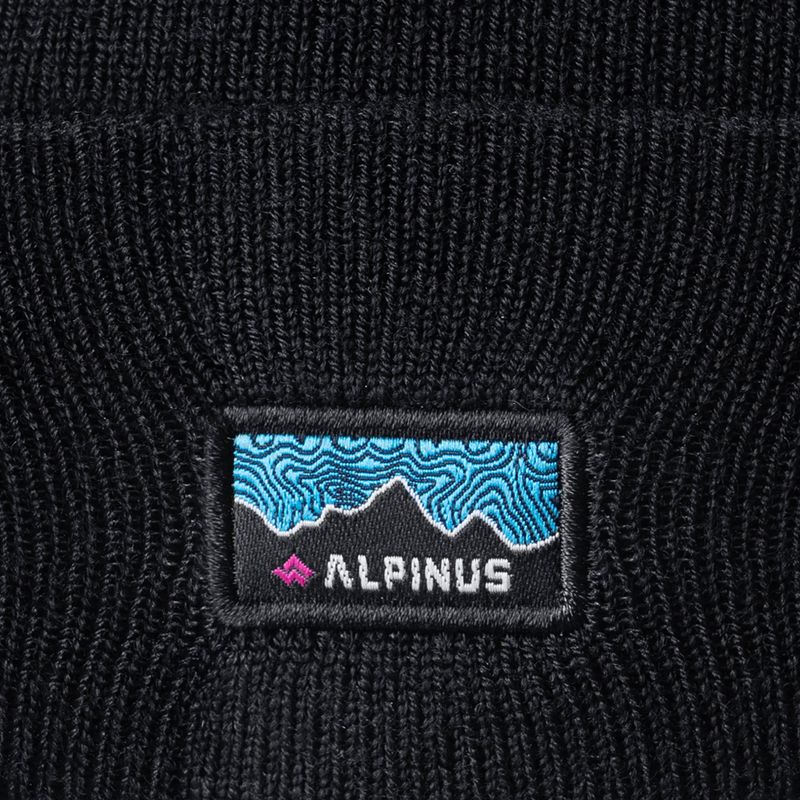 Шапка зимова Alpinus Dunree black 2
