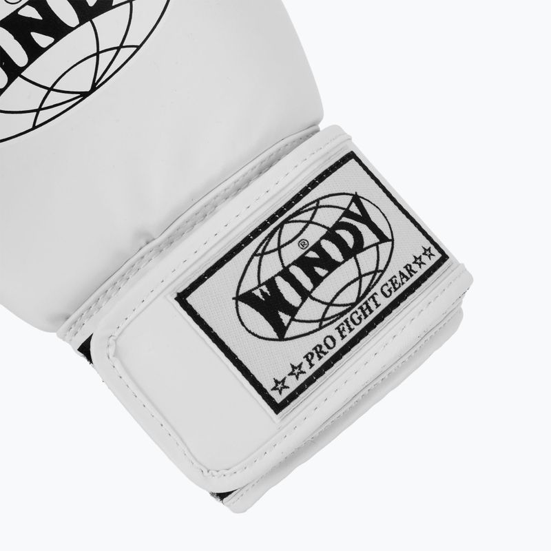 Рукавиці боксерські WINDY Classic Synthetic Leather white 6