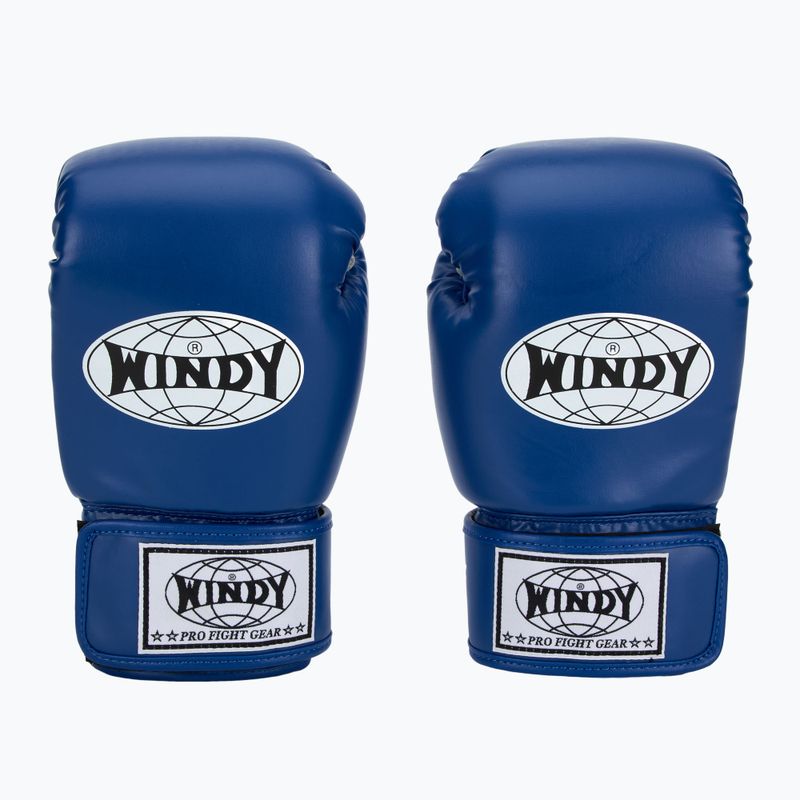 Рукавиці боксерські WINDY Classic Synthetic Leather blue 2