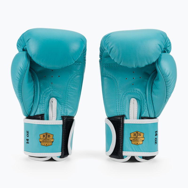 Рукавиці боксерські RAJA BOXING Single Standard Genuine Leather light blue 3