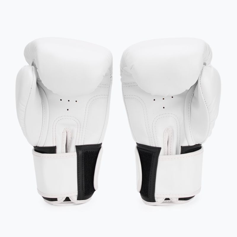 Рукавиці боксерські RAJA BOXING Single Semi Leather white 3