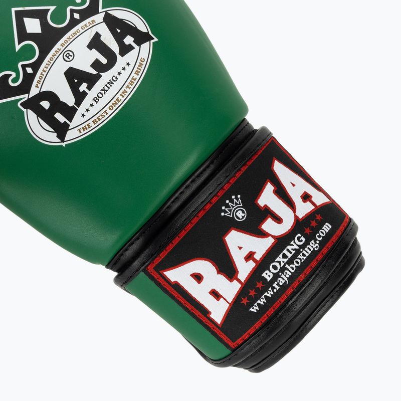 Боксерські рукавиці RAJA BOXING Single Semi Leather green 6
