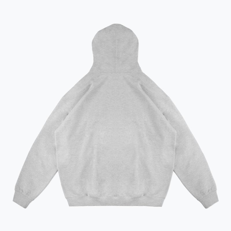 Кофта чоловіча PROSTO Biolog Hoodie gray 2