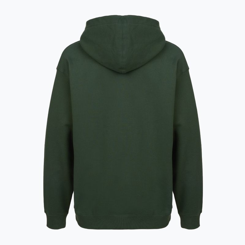Кофта чоловіча PROSTO Biolog Hoodie khaki 2