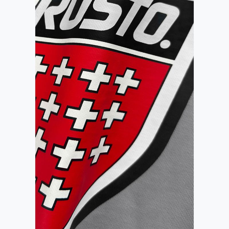 Кофта чоловіча PROSTO Big Shield Crewneck gray 3