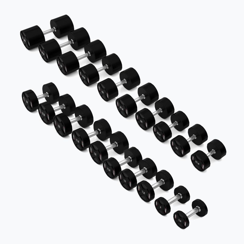 Гантеля HMS HPC 1 шт. 2.5 кг black 4