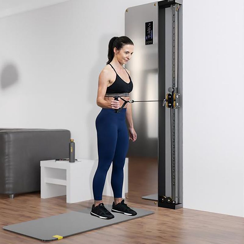 Ворота для тренувань пристінні HMS BSP301 Commercial 5