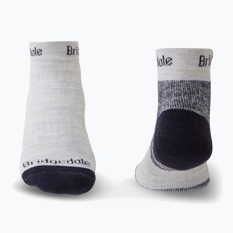Шкарпетки чоловічі Bridgedale Hike Lightweight Performance Ankle silver/navy 2