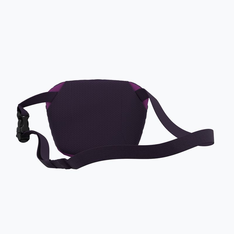 Барсетка Arc'teryx Mantis 1 Waist Pack groovie/expanse 7