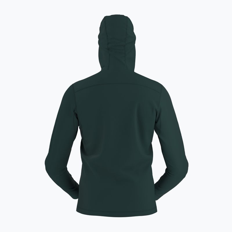 Кофта трекінгова чоловіча Arcteryx Rho LT Hoody pytheas 9