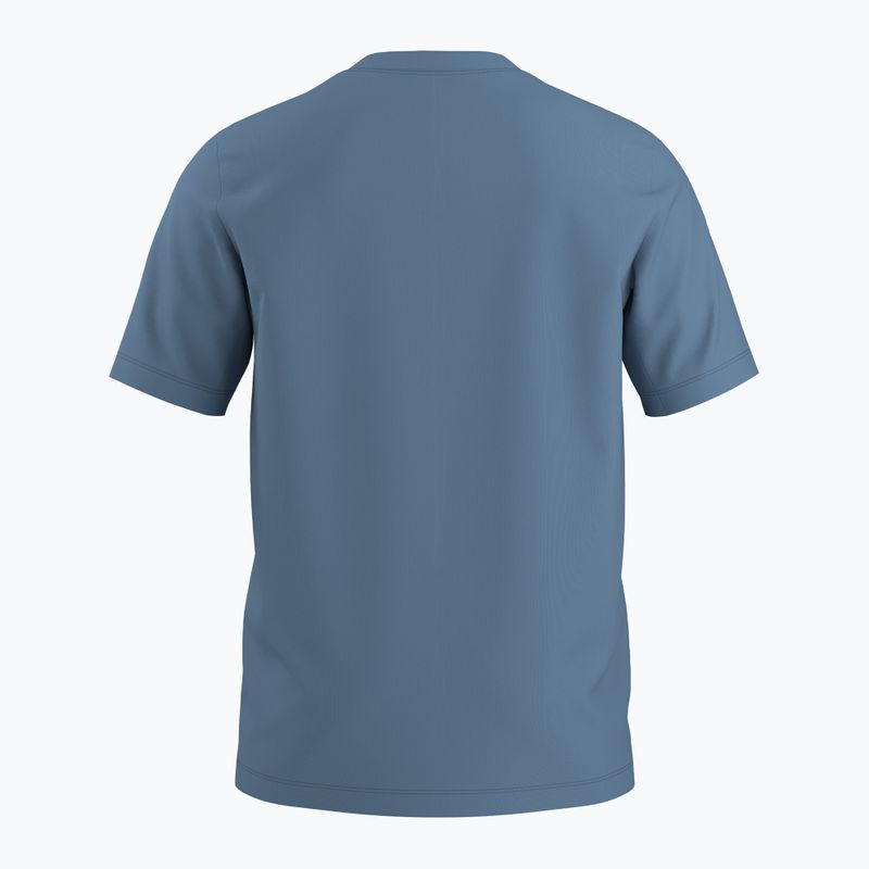 Футболка чоловіча Arcteryx Arc'Word Logo stone wash 6