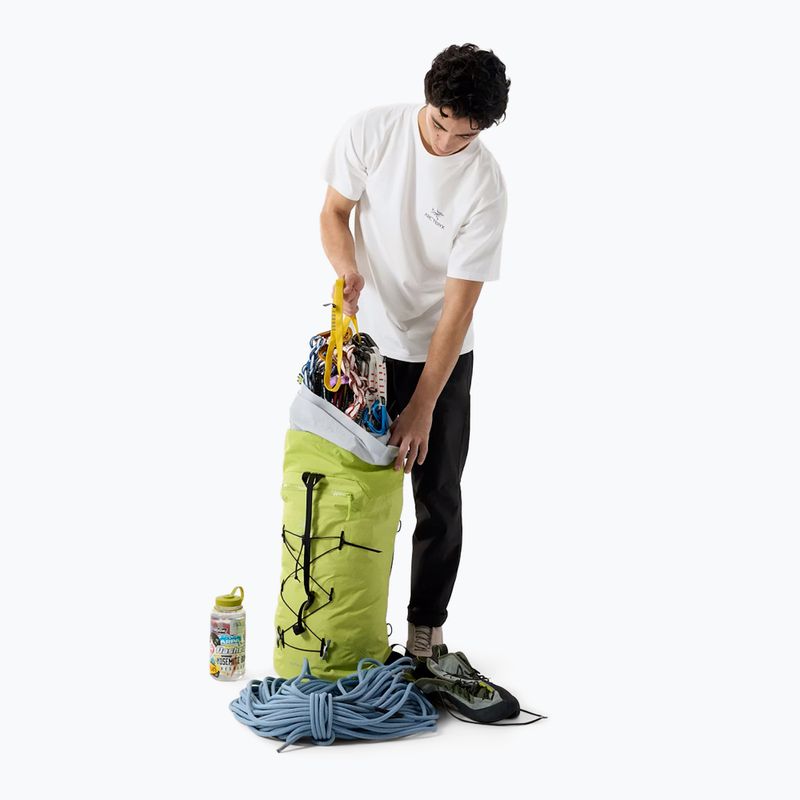 Футболка чоловіча Arc'teryx Kragg Sl Cotton Bird Word white light/black 2