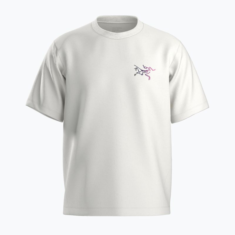 Футболка чоловіча Arc'teryx Kragg Cotton Logo white light / soul