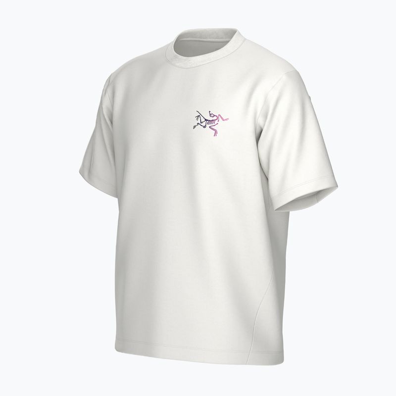 Футболка чоловіча Arc'teryx Kragg Cotton Logo white light / soul 3