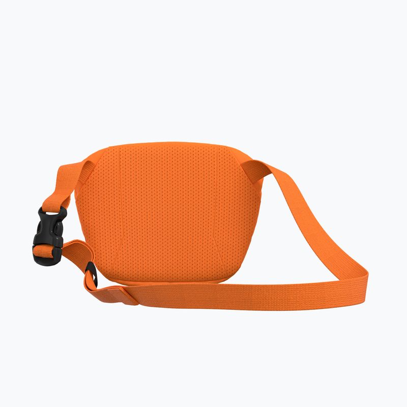 Arc'teryx Mantis 1 1,5 л пакетик з вербою 3