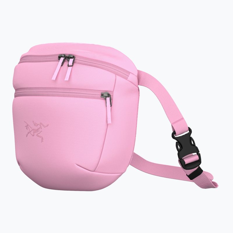 Сумка Arc'teryx Mantis 2 2,5 and pineberry 2