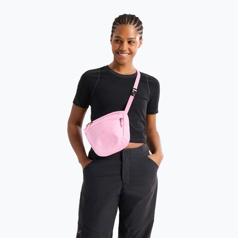 Сумка Arcteryx Mantis 2 2,5 and pineberry 5