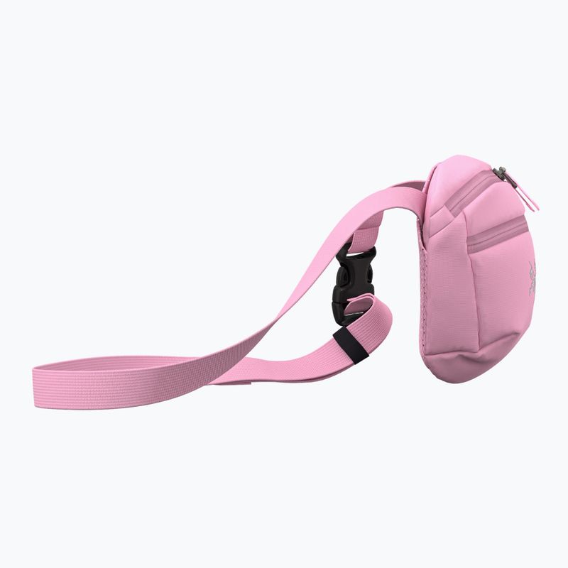 Сумка Arcteryx Mantis 1 1,5 l 4