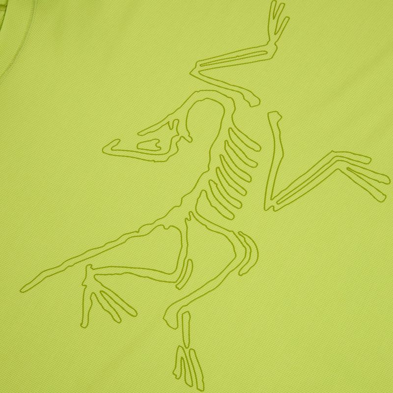 Футболка чоловіча Arcteryx Cormac Logo mantis 4