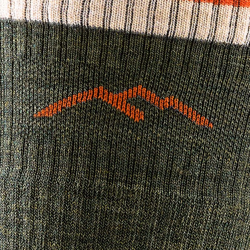 Чоловічі шкарпетки Darn Tough Hiker Boot Sock Cushion оливкові 2