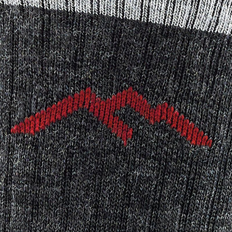 Шкарпетки чоловічі Darn Tough Hiker Micro Crew black 2