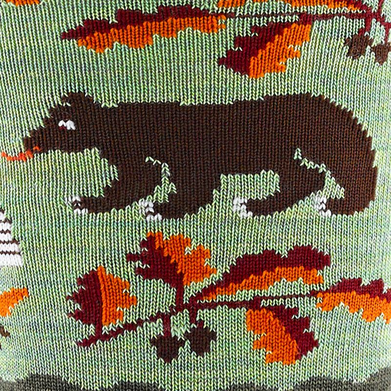 Шкарпетки жіночі Darn Tough Wild Life forest 2