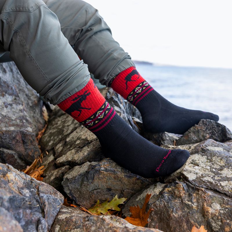 Шкарпетки чоловічі Darn Tough VanGrizzle Boot Sock Cushion moose black 6