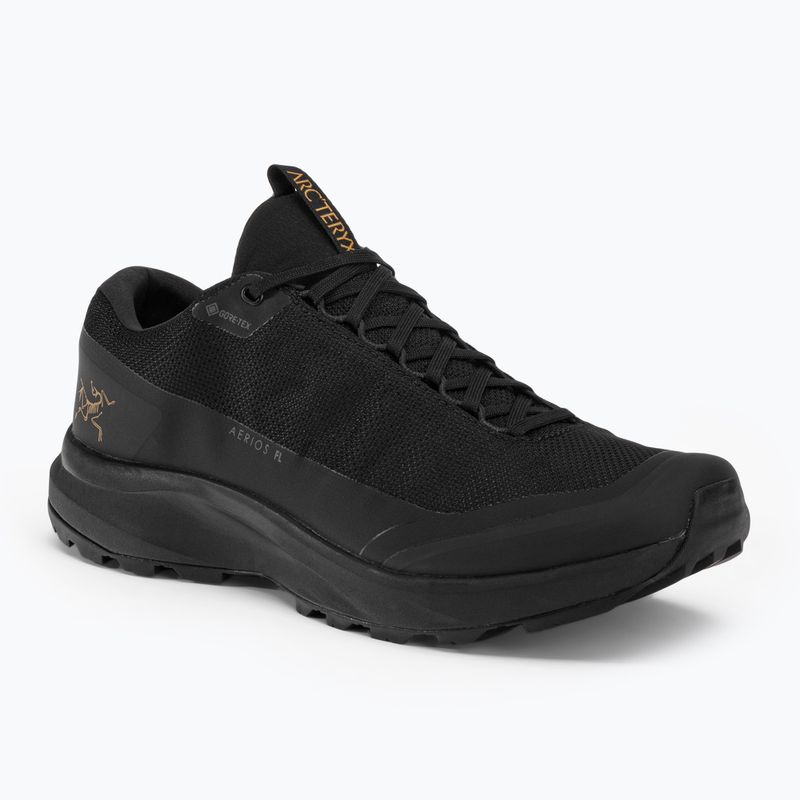 Черевики туристичні чоловічі Arc'teryx Aerios FL 2 GTX black/black