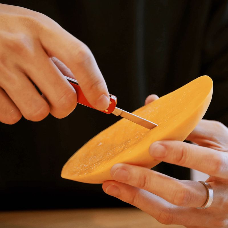 Мультитул Nextool Mini Pocket Knife red 5