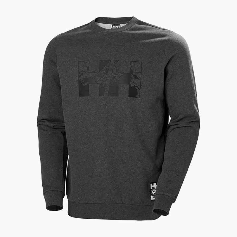 Кофта чоловіча Helly Hansen Arctic Ocean Sweater сіра 30364_980 4