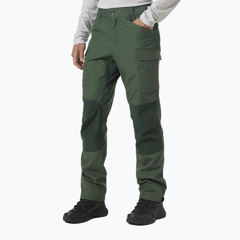 Штани трекінгові чоловічі Helly Hansen Vandre Tur зелені 62698_476