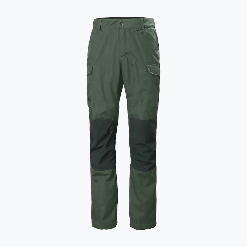 Штани трекінгові чоловічі Helly Hansen Vandre Tur зелені 62698_476 6