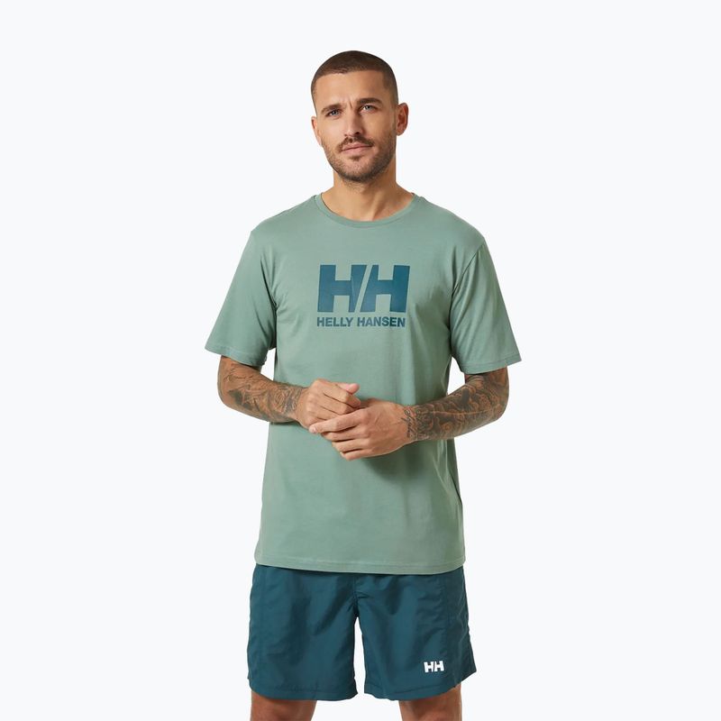 Чоловіча футболка Helly Hansen HH Logo cactus