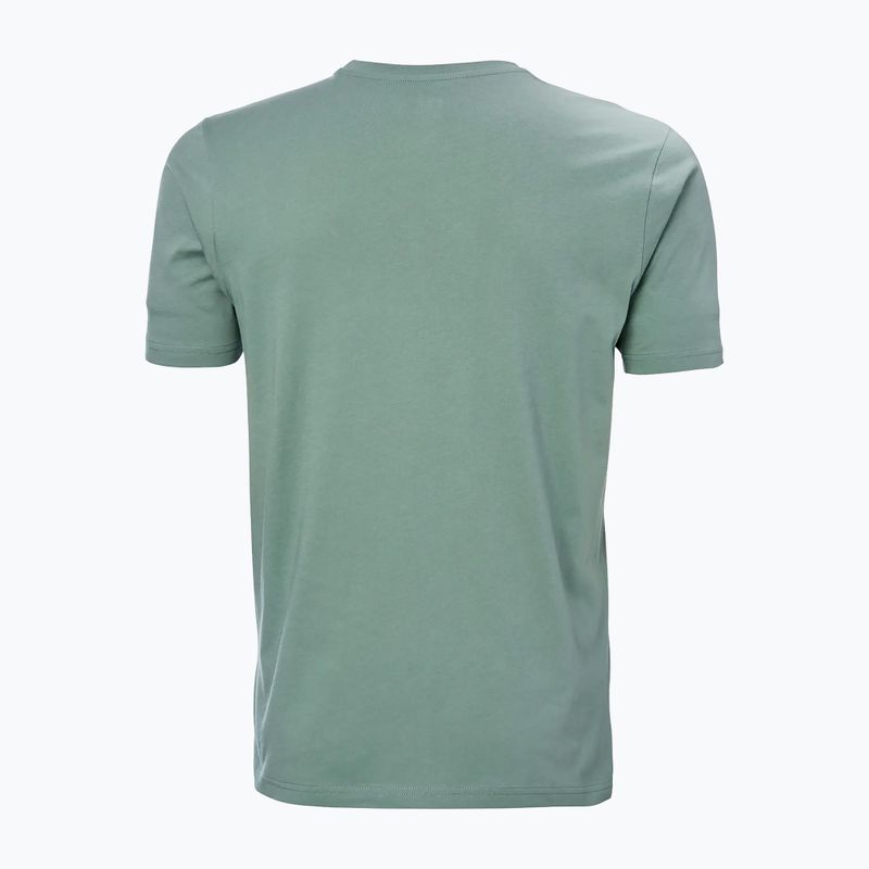 Чоловіча футболка Helly Hansen HH Logo cactus 5