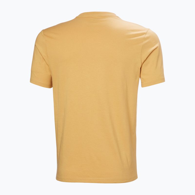 Футболка чоловіча Helly Hansen Logo 3.0 sand 5