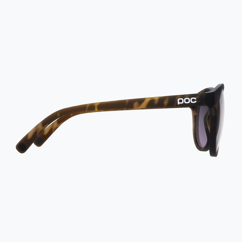 Окуляри сонцезахисні POC Know tortoise brown/clarity road/sunny silver 4