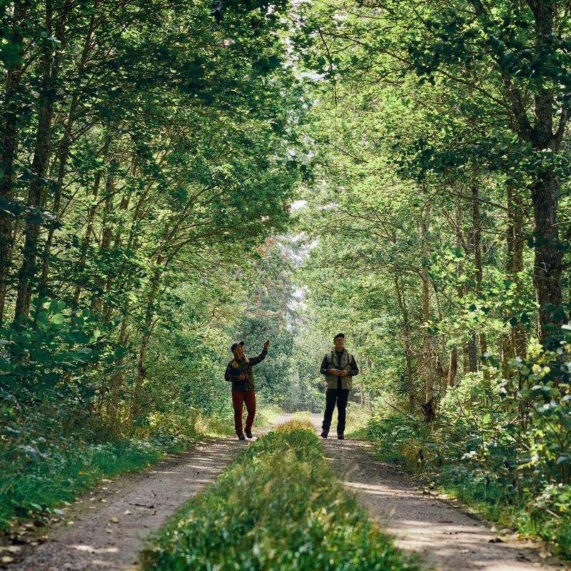 Штани трекінгові чоловічі Pinewood Caribou TC Extreme moss green/black 6