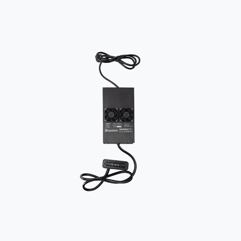 Зарядний пристрій для електричної дошки Radinn Standard charger EU KP чорний 910024AA