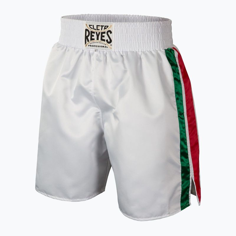 Чоловічі атласні боксерські шорти Cleto Reyes білий/зелений/червоний