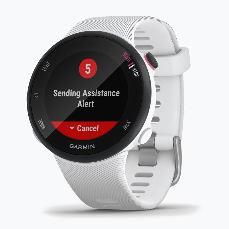 Годинник Garmin Forerunner 45S білий 010-02156-10
