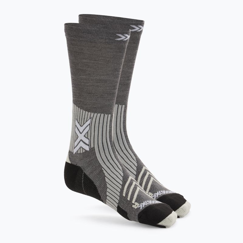 Шкарпетки X-Socks Run Expert Silk Merino Crew seal grey/light sand