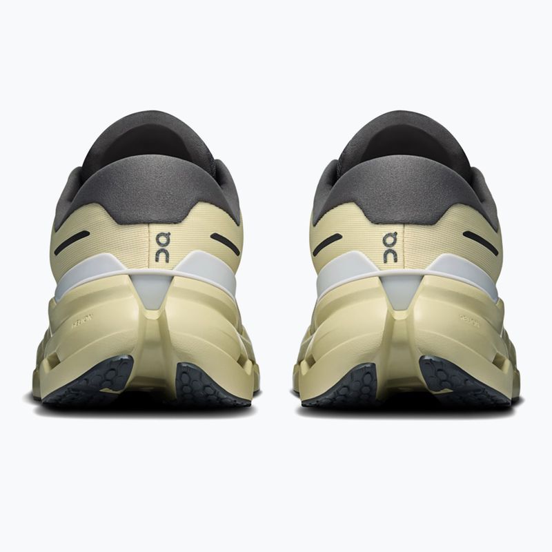 Кросівки для бігу чоловічі On Cloudrunner 3 Waterproof pollen/haze 4