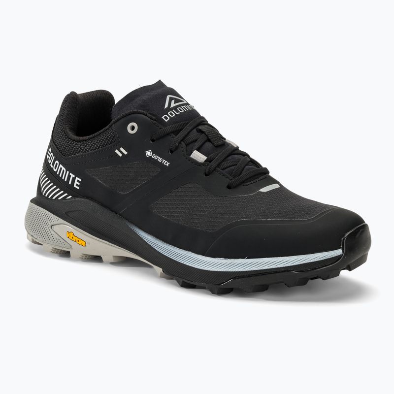 Чоловічі туристичні черевики Dolomite Nibelia GTX чорні